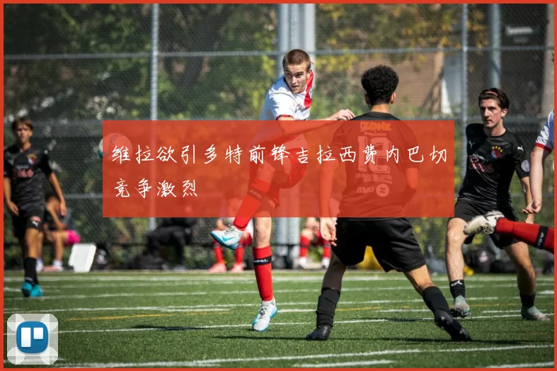 维拉欲引多特前锋吉拉西费内巴切竞争激烈